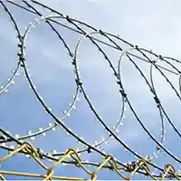 Dikenli & Jiletli Teller